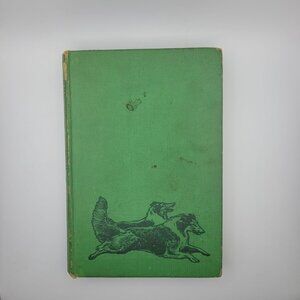 Bruce‎ Book Albert Payson Terhune Hardcover Collie Dog 1920 Origin Story Green
